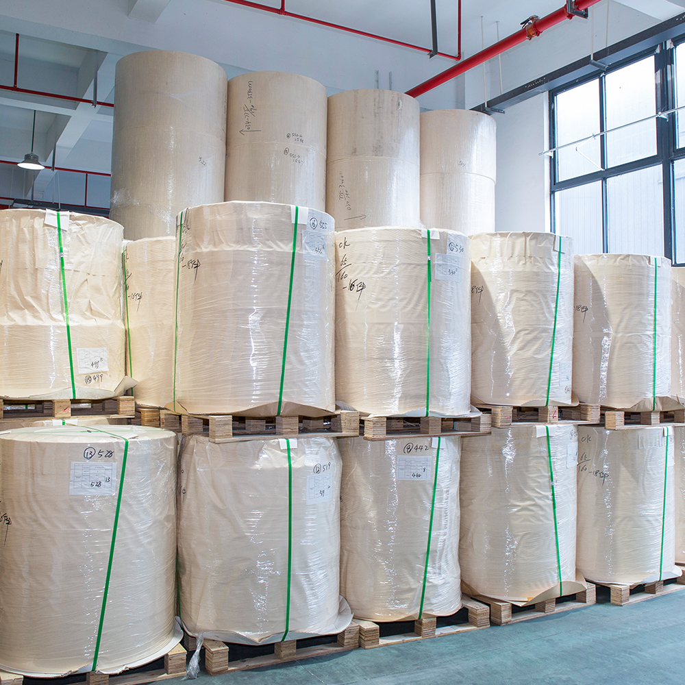 Single PE coated paper cup bottom roll
